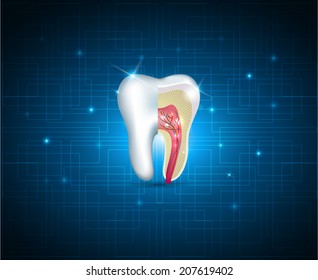 Teeth cross section beautiful illustration. White tooth on a blue technology background
