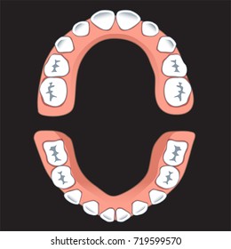 Teeth, Dentist,root,Dental  Vector 10