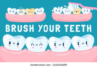 Teeth in the gum. Cartoon cute happy teeth characters for children dental poster, happy clean white tooth with friends. Vector illustration. Sad dirty ill vs fresh and happy faces comparison