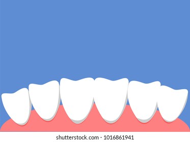 Teeth and gum illustration vector