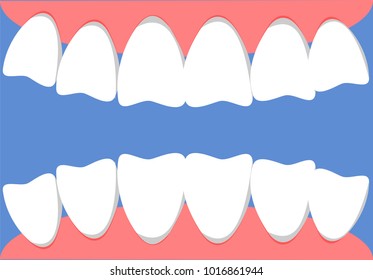 Teeth and gum illustration vector