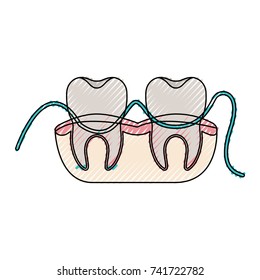 teeth and gums with dental floss between them in colored crayon silhouette vector illustration