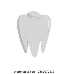 Teeth, Human Body Part Illustration