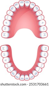 Modelo de infográfico de dentes. Diagrama ortodontista. Quadro dentário