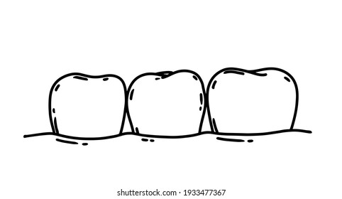Teeth in the jaw. Dental oral health care vector illustration. Dentistry, mouth hygiene. Outline graphic in black isolated over white.