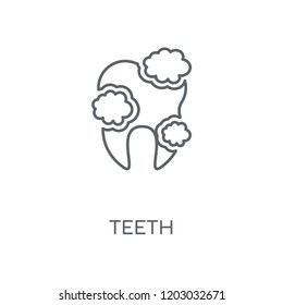 Teeth linear icon. Teeth concept stroke symbol design. Thin graphic elements vector illustration, outline pattern on a white background, eps 10.