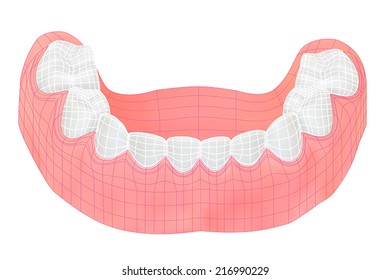 Teeth of the lower jaw. Vector illustration with visible mesh. Isolated on white 