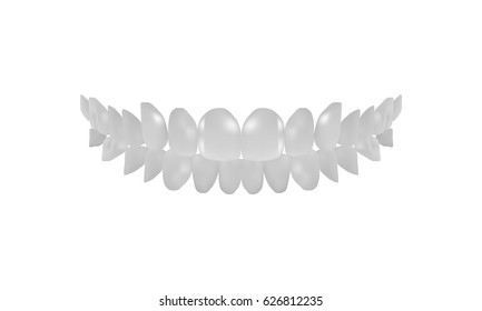 Teeth model graphic. Vctor eps10.