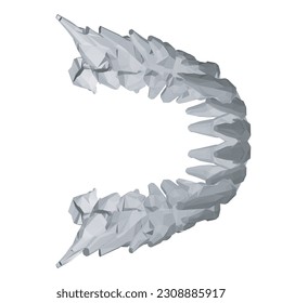 Teeth polygonal. Hand drawn different types of human tooth collection. Dentist graphic template. Engraving fangs and molars. Dental oral care. Toothache treatment. Vector stomatology set. 3D..