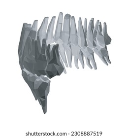 Teeth polygonal. Hand drawn different types of human tooth collection. Dentist graphic template. Engraving fangs and molars. Dental oral care. Toothache treatment. Vector stomatology set. 3D..