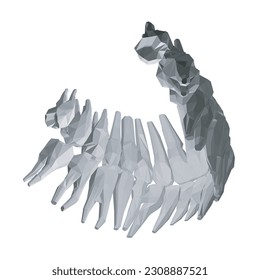 Teeth polygonal. Hand drawn different types of human tooth collection. Dentist graphic template. Engraving fangs and molars. Dental oral care. Toothache treatment. Vector stomatology set. 3D..