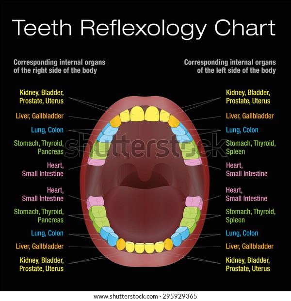 Reflexology Chart Thyroid