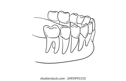 Teeth with roots continuous line art drawing isolated on white background. Dentistry, health, midicine. Vector illustration	