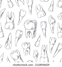 Teeth sketch pattern. Seamless print of hand drawn human tooth collection. Dentist vintage graphic. Fangs and molars. Dental oral care. Incisors or premolars drawing. Vector texture