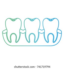 teeth with tooth root view in degraded green to blue color contour vector illustration