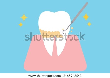 Teeth undergoing plaque removal and scaling