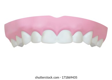 Teeth of the upper jaw. Vector illustration