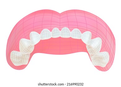 Teeth of the upper jaw. Vector illustration with visible mesh. Isolated on white 
