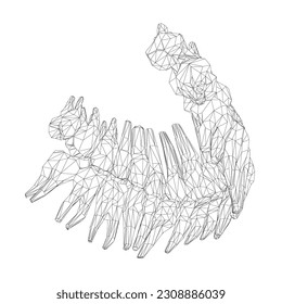 Teeth wireframe. Hand drawn different types of human tooth collection. Dentist graphic template. Engraving fangs and molars. Dental oral care. Toothache treatment. Vector stomatology set. 3D.