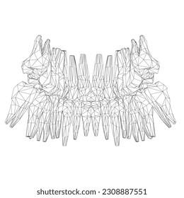 Teeth wireframe. Hand drawn different types of human tooth collection. Dentist graphic template. Engraving fangs and molars. Dental oral care. Toothache treatment. Vector stomatology set. 3D.