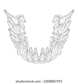 Teeth wireframe. Hand drawn different types of human tooth collection. Dentist graphic template. Engraving fangs and molars. Dental oral care. Toothache treatment. Vector stomatology set. 3D.