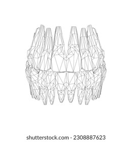 Teeth wireframe. Hand drawn different types of human tooth collection. Dentist graphic template. Engraving fangs and molars. Dental oral care. Toothache treatment. Vector stomatology set. 3D.