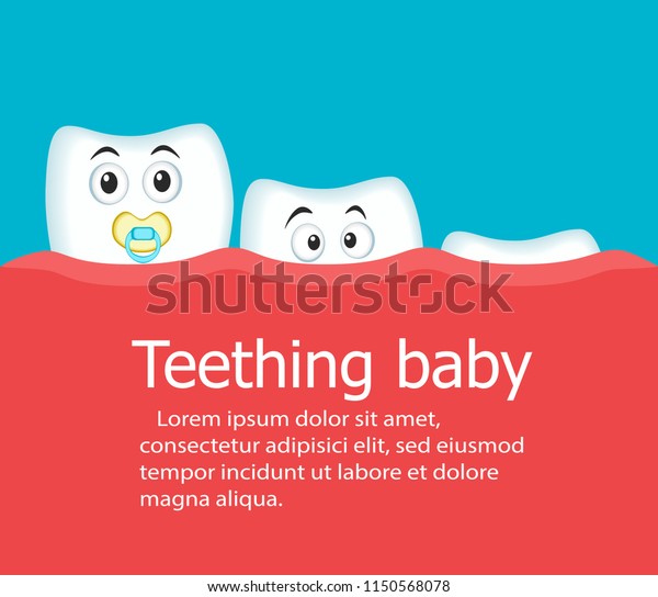 カートーンの歯のキャラクターを持つ赤ちゃんのバナーをからかう 赤ちゃんの歯のベクターイラストの正常な成長 子どもの歯のケアと医療のコンセプト 漫画の歯 が動く歯科医院のポスター のベクター画像素材 ロイヤリティフリー