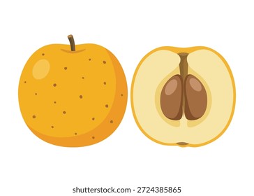 Ilustración vectorial de Frutas de Tejocote. Espino mexicano amarillo aislado. Ingrediente tradicional para Navidades Ponche