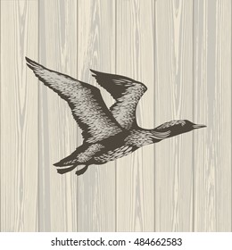 Teknokroma Loon On Wooden Background, Illustration, Vector 