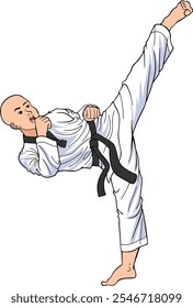 tekwondo kick vector illustration isolated on with background