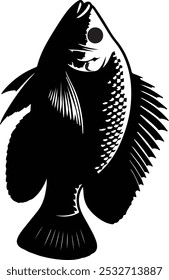 telapia fish shilloutte image,white background