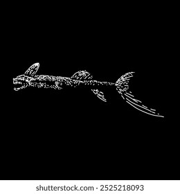 telescope fish hand drawing vector isolated on black background.