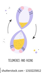 Telomeres and aging process.  Vector illustration.
