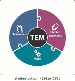 TEM - Acrónimo de modo electromagnético transversal. Plantilla de infografía con iconos y marcador de posición de descripción