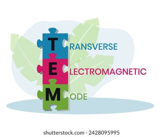 TEM - Transverse Electromagnetic Mode acronym. business concept background. vector illustration concept with keywords and icons. lettering illustration with icons for web banner, flyer