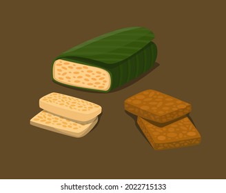 Tempe es comida tradicional indonesia de soja fermentada en trozos crudos y fritos símbolo de conjunto ilustración vectorial