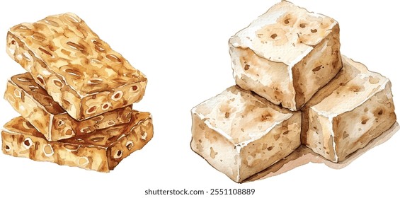 Tempeh e Tofu desenhado à mão ilustração de aquarela realista