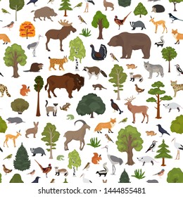 Temperate broadleaf forest and mixed forest biome seamless pattern.Terrestrial ecosystem world map. Animals, birds and plants graphic design. Vector illustration