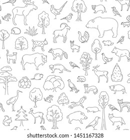 Temperate broadleaf forest and mixed forest biome seamless pattern.Terrestrial ecosystem world map. Simple outline graphic design. Vector illustration