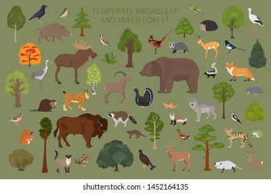 Temperate broadleaf forest and mixed forest biome. Terrestrial ecosystem world map. Animals, birds and plants graphic design. Vector illustration - Shutterstock ID 1452164135