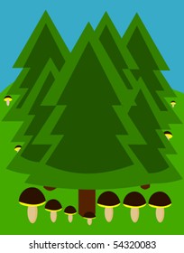 Temperate coniferous forest with growing mushrooms