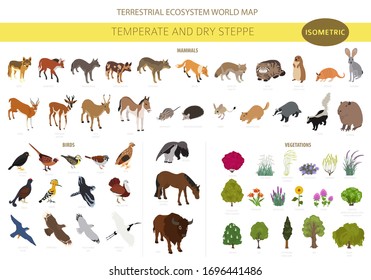 Temperate And Dry Steppe Biome, Natural Region Isometric Infographic. Prarie, Steppe, Grassland, Pampas. Animals, Birds And Vegetations Ecosystem Design Set. Vector Il