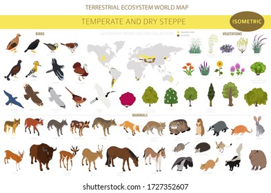 Temperate and dry steppe biome, natural region isometric infographic. Prarie, steppe, grassland, pampas. Animals, birds and vegetations ecosystem design set. Vector il svg