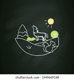 Temperate forest chalk icon.Forest found between tropical,boreal regions,located in temperate zone. Living place for different animals. Isolated vector illustration on chalkboard