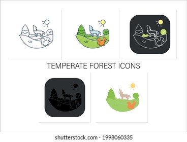 Temperate forest icons set.Forest found between tropical,boreal regions,located in temperate zone.Animals living place.Collection of icons in linear, filled, color styles.Isolated vector illustrations