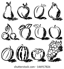 Temperate fruits sketch drawing vector set 