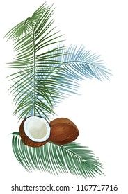 Templat for Indian festival, vertical card: brown coconuts (whole and half of nut), green leaves of coconut palm. Tropical plants, white background, vector botanical illustration for design