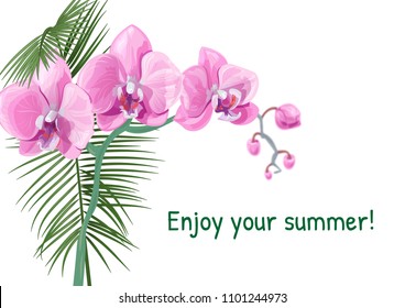 Templat for vacation invitation, horizontal card with pink Phalaenopsis orchid flowers, coconut palm leaf. Tropical plants on white background, vector botanical illustration for design