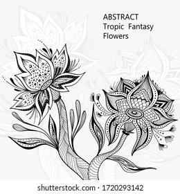 Vorlage von abstrakten Tanztropic Fantasy Blumen in Schwarzweiß-Farben für Farbseiten oder Farbbuch oder für die Dekoration verschiedener Dinge oder für kreative Post Card