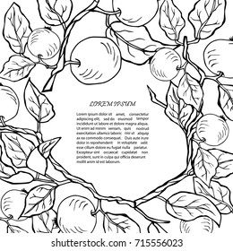 Template with apple branches. Text copy frame template. It can be used for flyers, cover, invitation, birthday, greetings, Thanksgiving, Shana Tova card.Vector illustration.